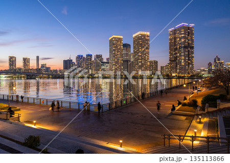 《東京都》豊洲ぐるり公園の夜景・晴海のタワーマンションをのぞむ 《東京都》豊洲ぐるり公園の夜景・晴海のタワーマンションをのぞむ 135113866
