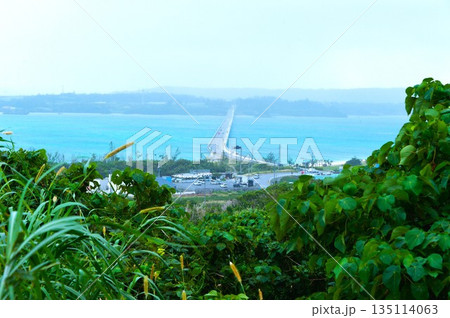 古宇利島から古宇利大橋を望む 古宇利島から古宇利大橋を望む 135114063