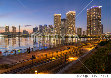 《東京都》豊洲ぐるり公園の夜景・晴海のタワーマンションをのぞむ 135114171