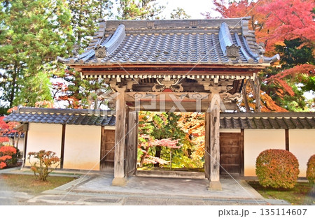 紅葉に彩られた龍洞院の境内からの眺め 紅葉に彩られた龍洞院の境内からの眺め 135114607