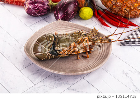 Raw wild fresh spiny lobster Raw wild fresh spiny lobster 135114718
