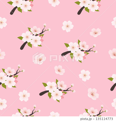 Pink Cherry Blossom Branch Pattern Seamless Illustration Background Pink Cherry Blossom Branch Pattern Seamless Illustration Background 135114773
