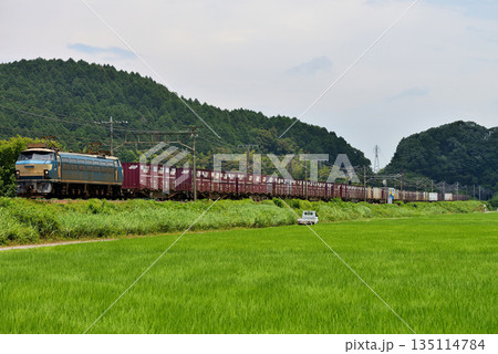 東海道本線を走るEF6624コンテナ貨物列車 東海道本線を走るEF6624コンテナ貨物列車 135114784