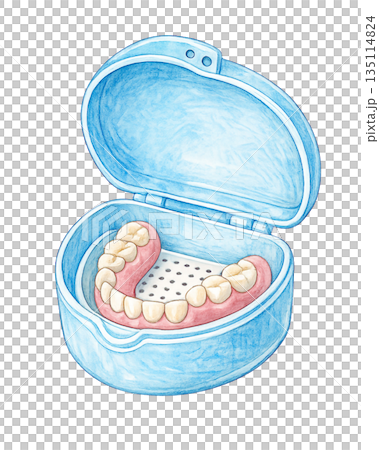 入れ歯ケース 背景透過の口腔ケア素材 135114824