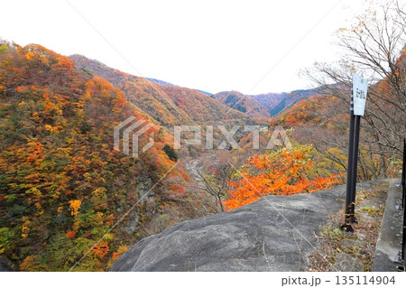 五十里ダムからの紅葉／栃木県日光市 135114904