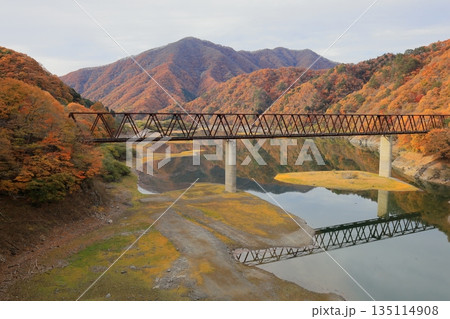 湯西川橋梁と紅葉/栃木県日光市 西川 湯西川橋梁と紅葉/栃木県日光市 西川 135114908