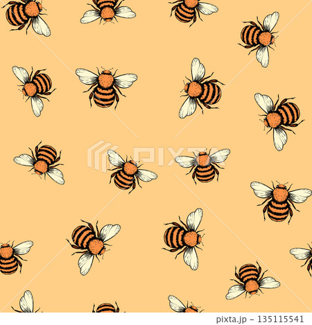 Seamless pattern with bees. Small wasp. Vector illustration. Design for invitation, cards, textile, fabric. Doodle style 135115541