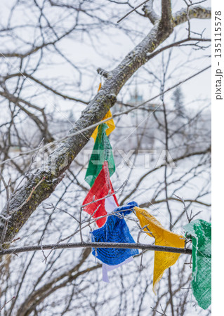 Colorful Prayer Flags In Winter Trees Colorful Prayer Flags In Winter Trees 135115578