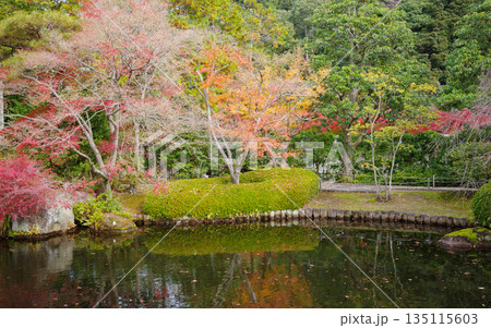 姫路市・姫路城西御屋敷跡庭園・好古園の紅葉 姫路市・姫路城西御屋敷跡庭園・好古園の紅葉 135115603
