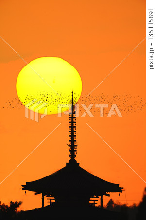 夕日と五重塔　鳥飛翔 135115891