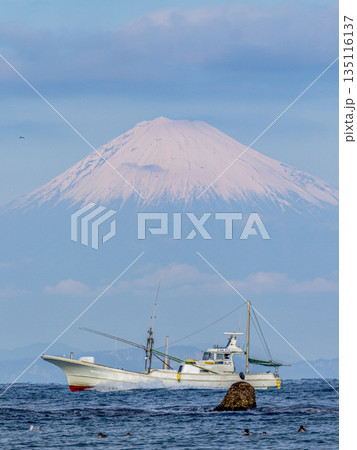 富士山 横切る釣り船 岩礁にとまるクロサギ 135116137