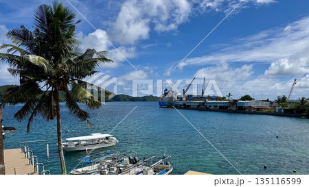 高所から望む港の風景　晴天の海沿い自然背景 135116599