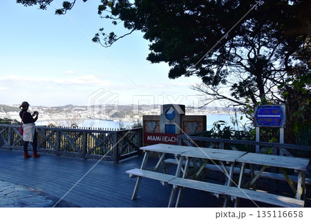 神奈川県藤沢市　江の島サムエル・コッキング苑のマイアミビーチ広場と海岸眺望 135116658