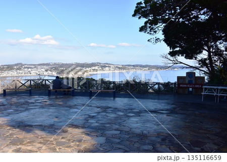神奈川県藤沢市　江の島サムエル・コッキング苑のマイアミビーチ広場と海岸眺望 135116659