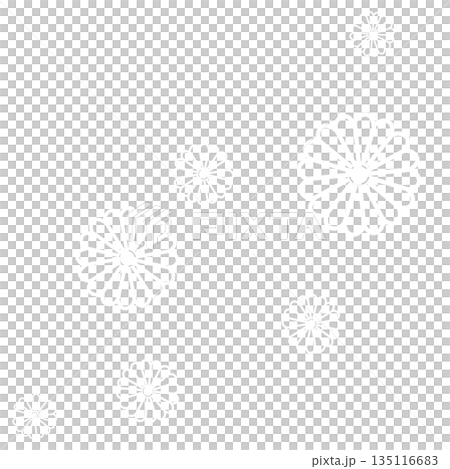 白色のたくさんの花 135116683