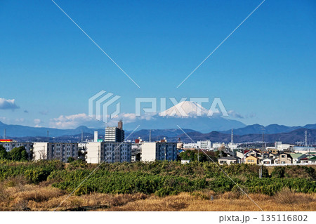 相模川・神川橋から見た富士山（冬、一月） 135116802