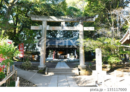 【水戸市 偕楽園東側の高台にある「常磐神社」境内の東湖神社の鳥居と拝殿】 【水戸市 偕楽園東側の高台にある「常磐神社」境内の東湖神社の鳥居と拝殿】 135117000