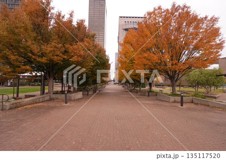 Louisville downtown 135117520