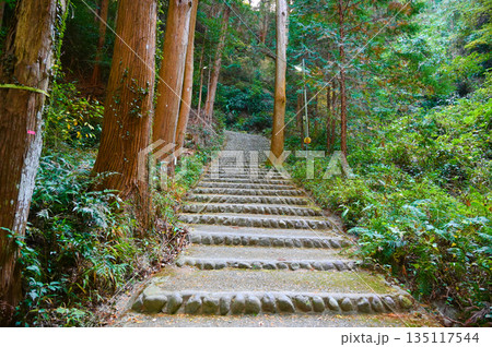 高天神城跡　北側入口　掛川市 135117544