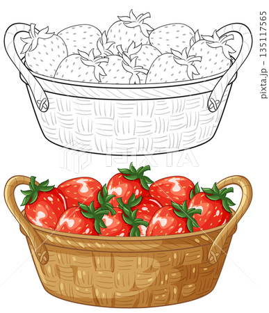 Woven Basket Filled with Fresh Red Strawberries Vector Illustration 135117565
