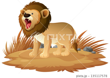 Roaring Lion Standing on Dry Grassland Illustration 135117578