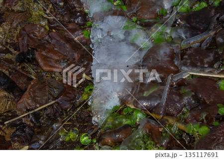 Close-up photo of the frozen water from the small stream 135117691