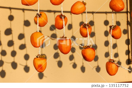 干し柿を作ろう 135117752