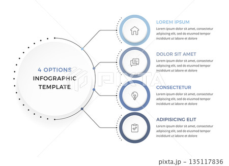 Four Options Infographics 135117836