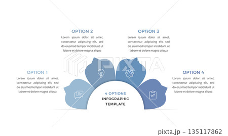 Four Option Infographics Four Option Infographics 135117862