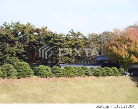 緑と紅葉に包まれる半蔵門 緑と紅葉に包まれる半蔵門 135118304