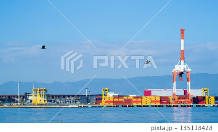 港風景 カワウ飛行 港風景 カワウ飛行 135118428