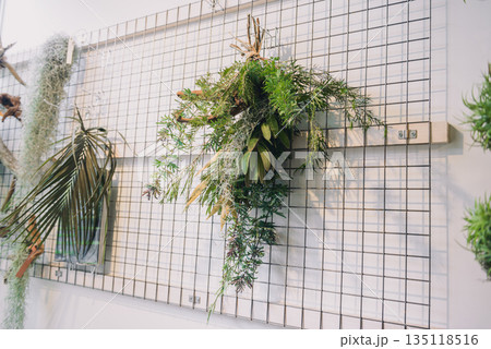 ワイヤーグリッドに植物を飾るグリーンのインテリア、壁面に吊るした枝物と葉のナチュラルグリーンアレンジ ワイヤーグリッドに植物を飾るグリーンのインテリア、壁面に吊るした枝物と葉のナチュラルグリーンアレンジ 135118516