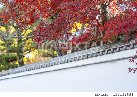 長岳寺 秋 紅葉の季節 長岳寺 秋 紅葉の季節 135118631
