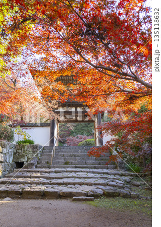 長岳寺　楼門　秋　紅葉の季節 135118632