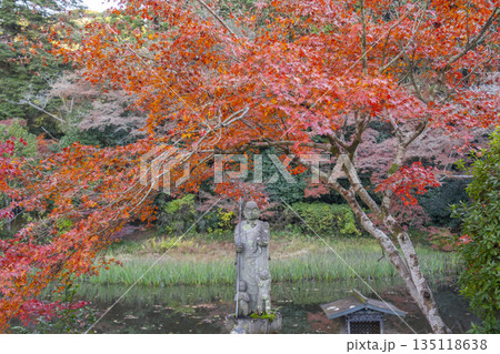 長岳寺　放生池　秋　紅葉の季節 135118638