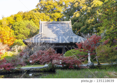 長岳寺 本堂 秋 紅葉の季節 長岳寺 本堂 秋 紅葉の季節 135118639