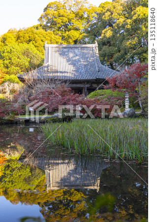 長岳寺 本堂 秋 紅葉の季節 長岳寺 本堂 秋 紅葉の季節 135118640