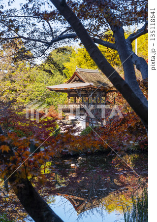 長岳寺 楼門 秋 紅葉の季節 長岳寺 楼門 秋 紅葉の季節 135118641