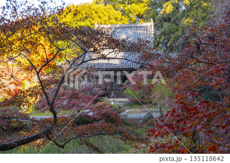 長岳寺 本堂 秋 紅葉の季節 長岳寺 本堂 秋 紅葉の季節 135118642