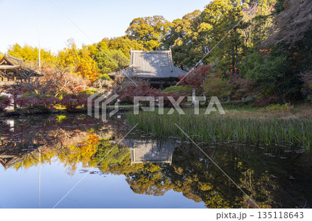 長岳寺 放生池 秋 紅葉の季節 長岳寺 放生池 秋 紅葉の季節 135118643