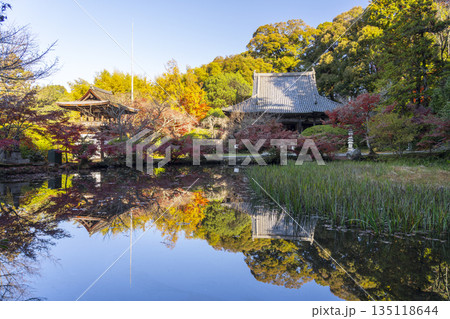 長岳寺　放生池　秋　紅葉の季節 135118644