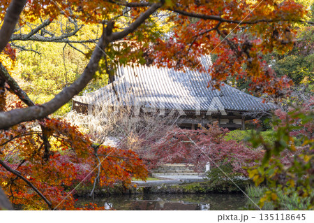 長岳寺　本堂　秋　紅葉の季節 135118645