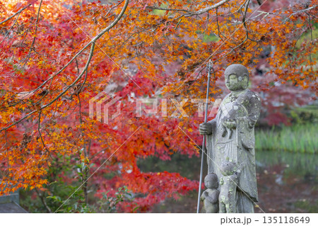 長岳寺 慈悲地蔵尊 秋 紅葉の季節 長岳寺 慈悲地蔵尊 秋 紅葉の季節 135118649