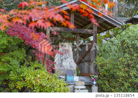 長岳寺　不動明王像　秋　紅葉の季節 135118654