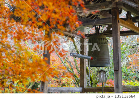 長岳寺 鐘堂 秋 紅葉の季節 長岳寺 鐘堂 秋 紅葉の季節 135118664