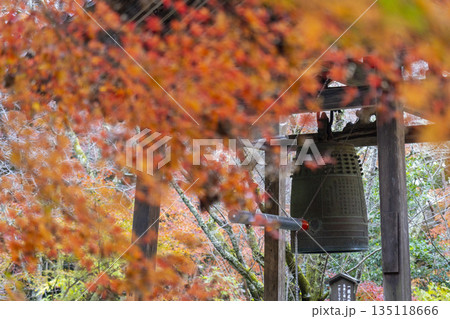長岳寺 鐘堂 秋 紅葉の季節 長岳寺 鐘堂 秋 紅葉の季節 135118666