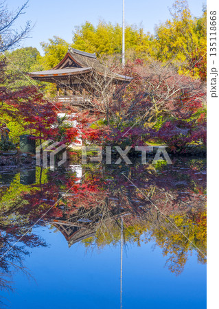 長岳寺　放生池　秋　紅葉の季節 135118668