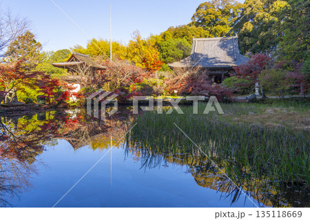 長岳寺　放生池　秋　紅葉の季節 135118669