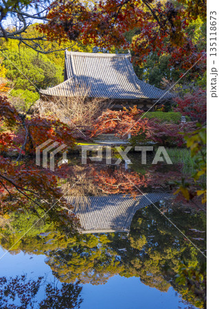 長岳寺　放生池に映る本堂　秋　紅葉の季節 135118673