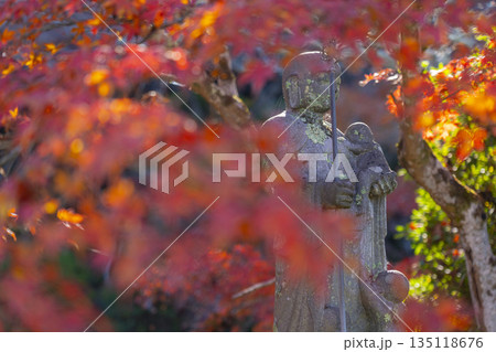 長岳寺　慈悲地蔵尊　秋　紅葉の季節 135118676